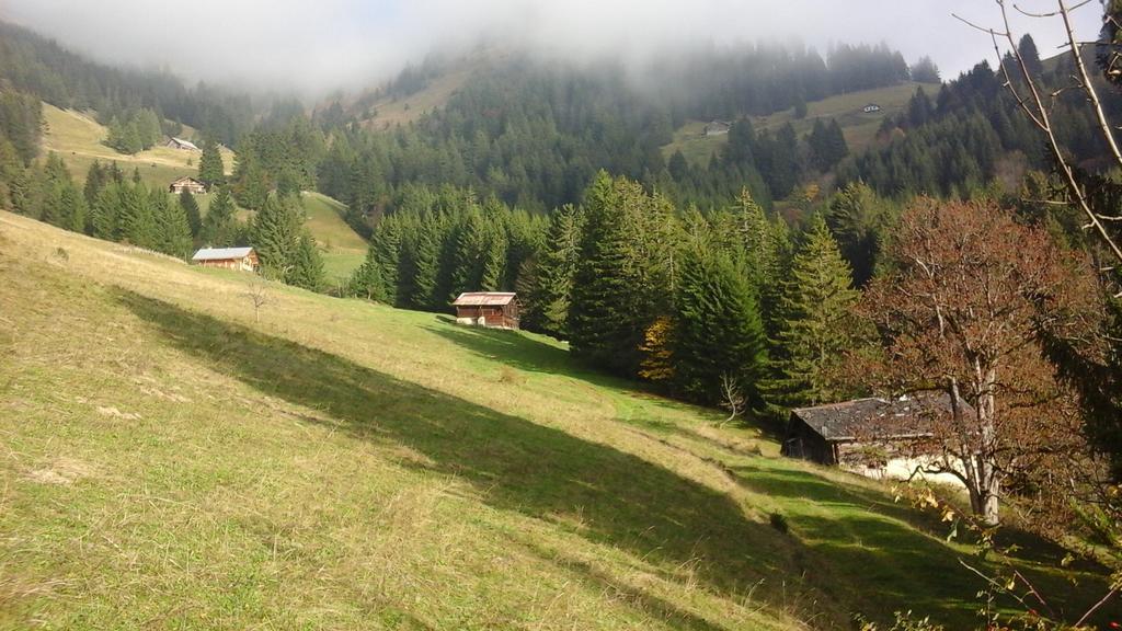 Chambre D'Hote La Petite Bergerie Abondance 外观 照片