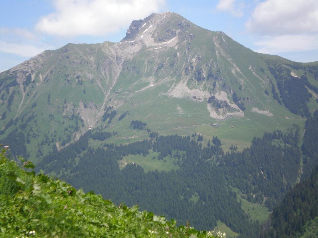 Chambre D'Hote La Petite Bergerie Abondance 外观 照片